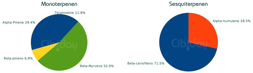 Monoterpenen Sesquiterpenen Futura 75 Hennep